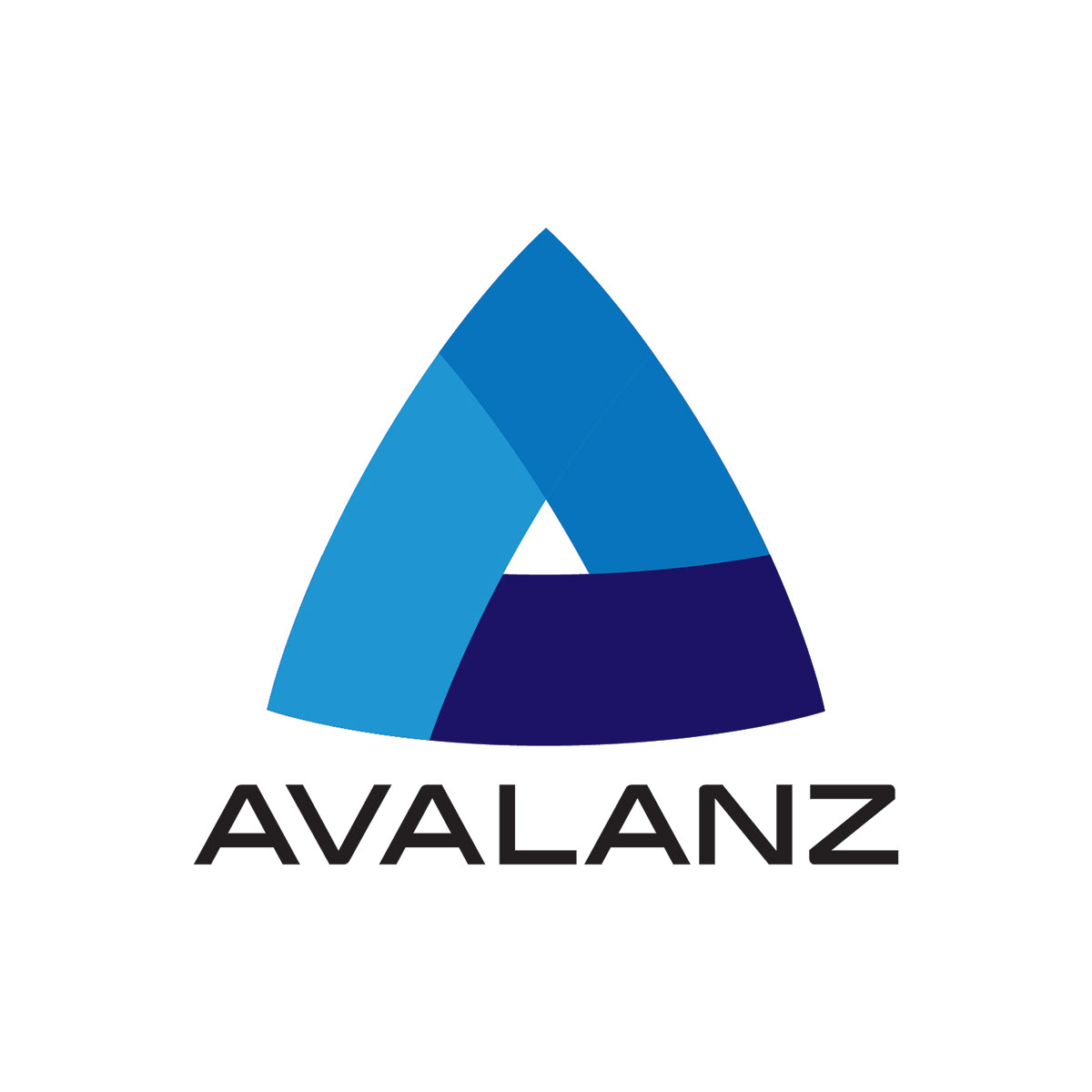 Grupo Avalanz